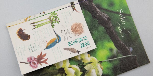 有靈魂的宣傳畫冊就應(yīng)該這樣設(shè)計！-和印愛歐圖文